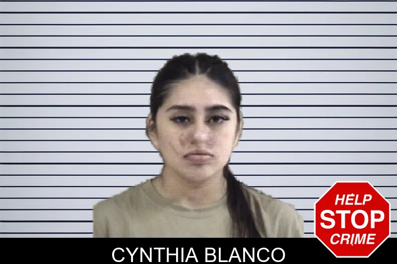 Cynthia Blanco mugshot – Whitfield County , Georgia Cynthia Blanco mugshot