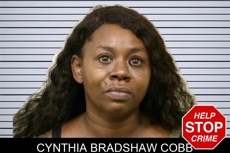 Cynthia Bradshaw Cobb mugshot – Bulloch County , Georgia Cynthia Bradshaw Cobb mugshot