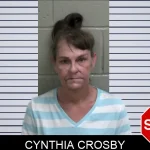 Cynthia Crosby mugshot – Wayne County , Georgia Cynthia Crosby mugshot