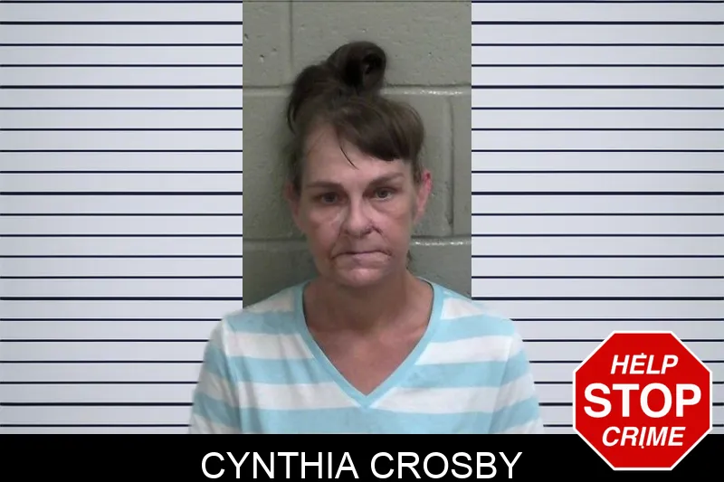 Cynthia Crosby mugshot – Wayne County , Georgia Cynthia Crosby mugshot