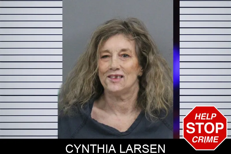 Cynthia Larsen mugshot