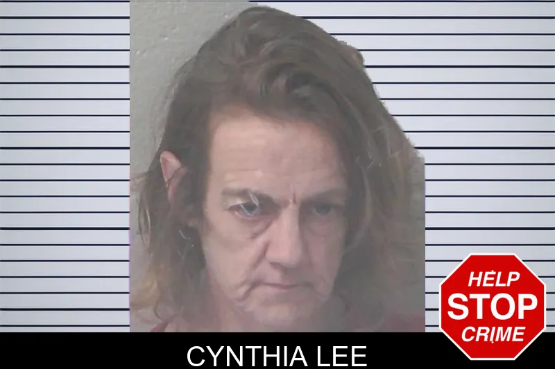 Cynthia Lee mugshot