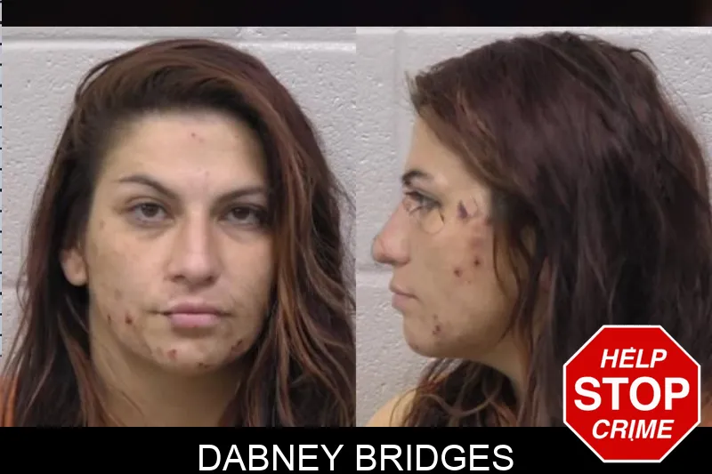 Dabney Bridges mugshot – Paulding County , Georgia Dabney Bridges mugshot
