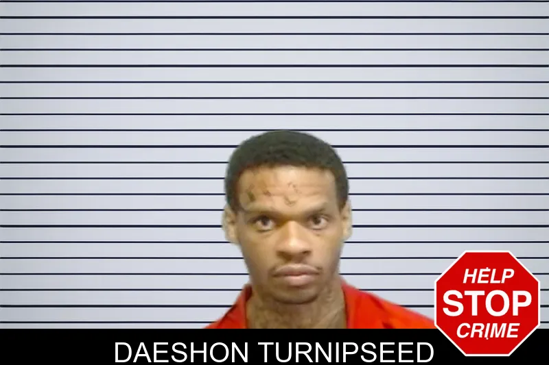 Daeshon Turnipseed mugshot – Fulton County , Georgia Daeshon Turnipseed mugshot