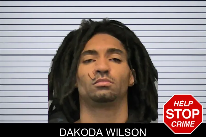 Dakoda Wilson mugshot – Ware County , Georgia Dakoda Wilson mugshot