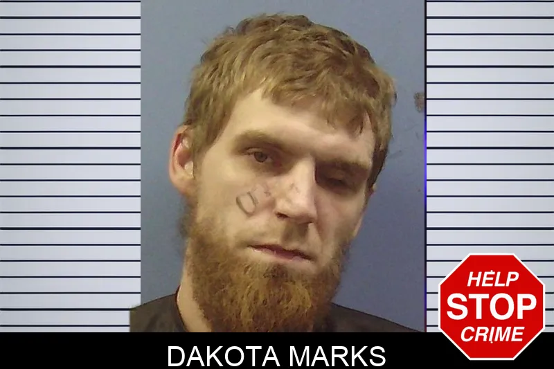 Dakota Marks mugshot – Chattooga County , Georgia Dakota Marks mugshot