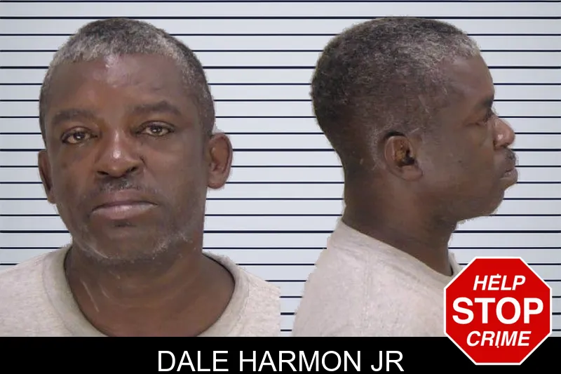 Dale Harmon Jr mugshot