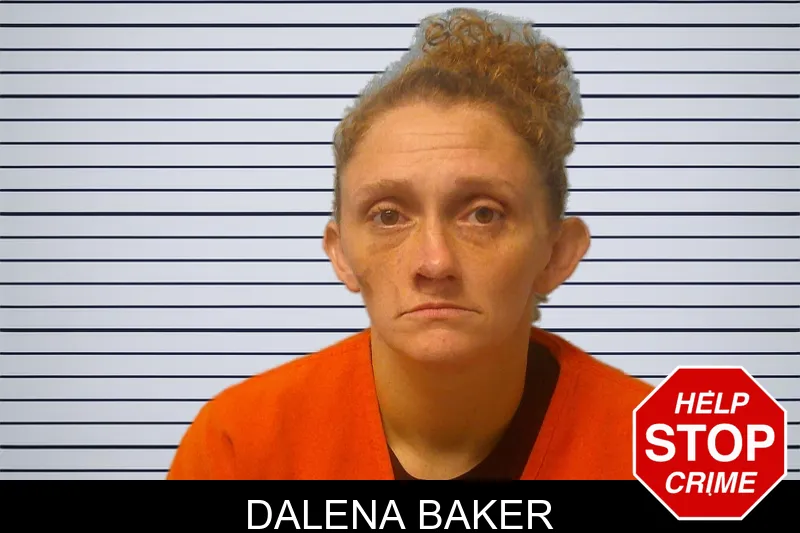 Dalena Baker mugshot – Franklin County , Georgia Dalena Baker mugshot