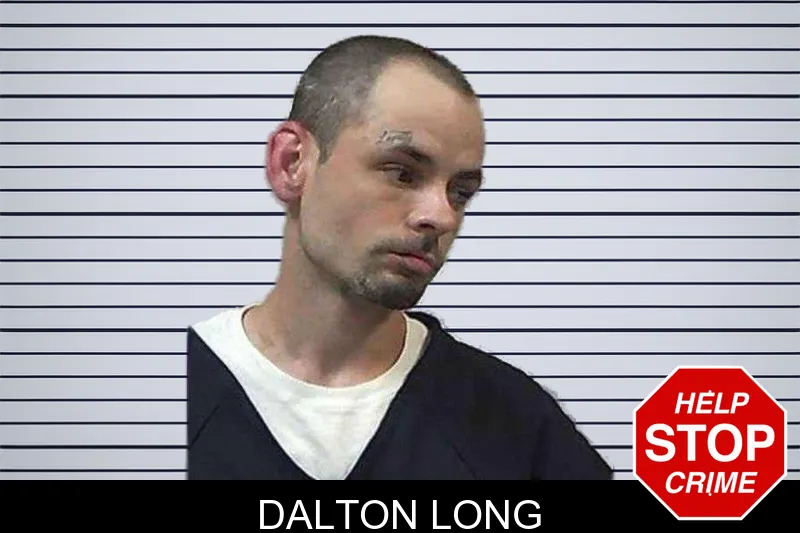 Dalton Long mugshot – Gilmer County , Georgia Dalton Long mugshot
