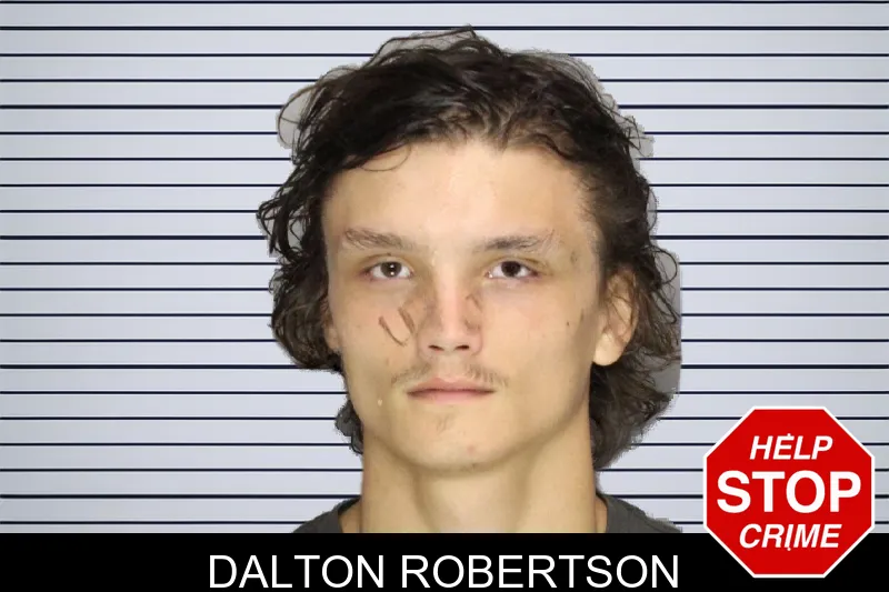Dalton Robertson mugshot – Cobb County , Georgia Dalton Robertson mugshot