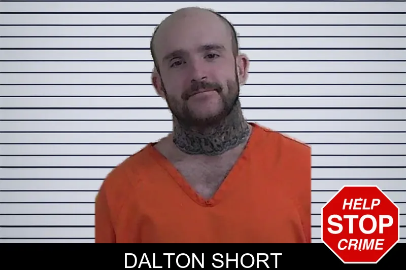 Dalton Short mugshot – Fannin County , Georgia Dalton Short mugshot