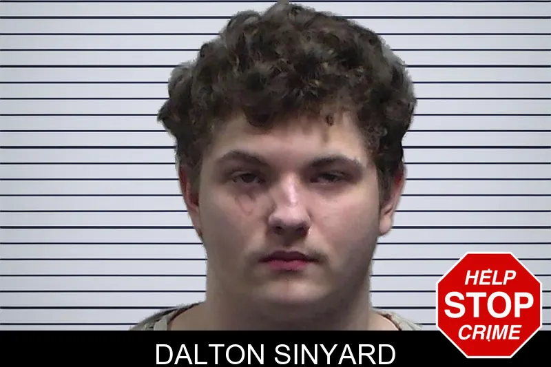 Dalton Sinyard mugshot