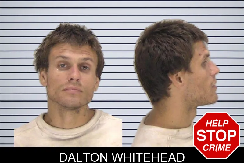 Dalton Whitehead mugshot