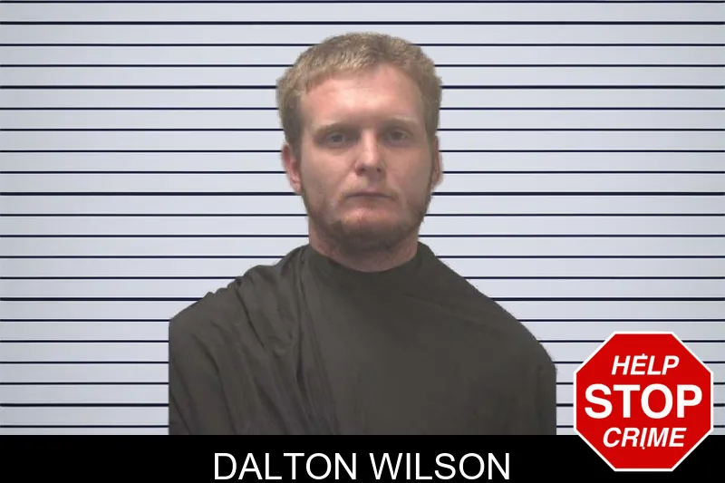 Dalton Wilson mugshot – Coweta County , Georgia Dalton Wilson mugshot