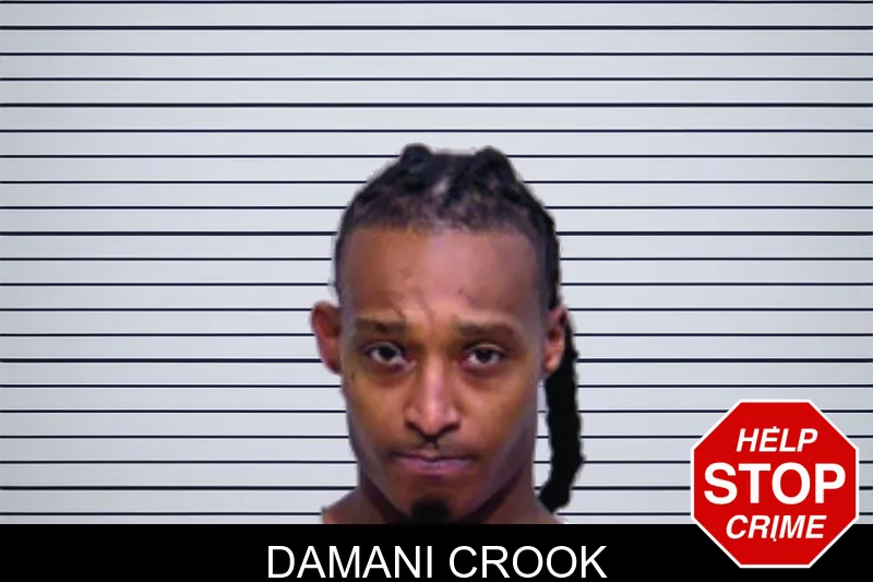 Damani Crook mugshot