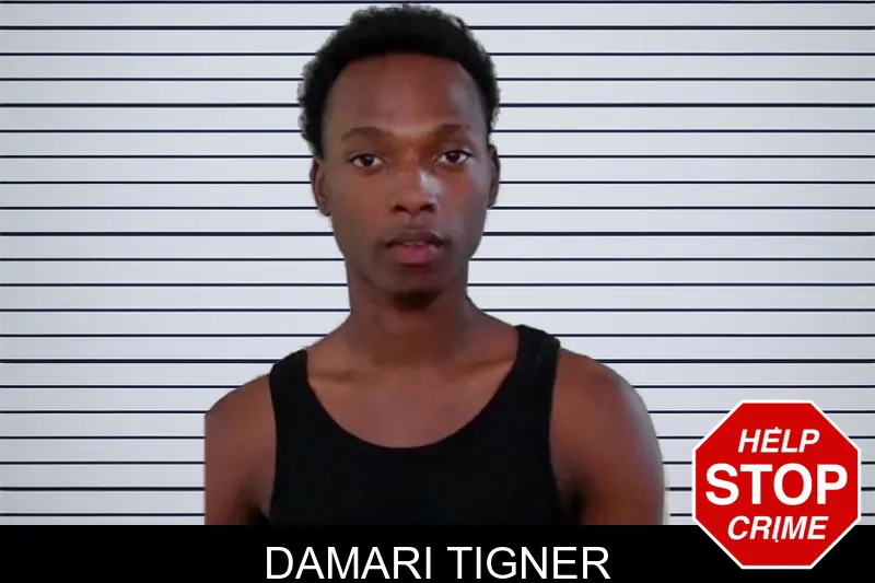 Damari Tigner mugshot