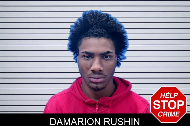 Damarion Rushin mugshot