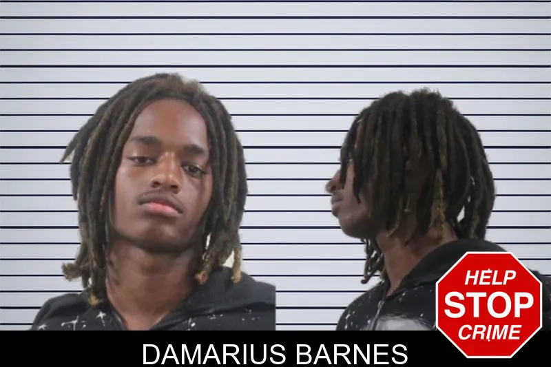 Damarius Barnes mugshot