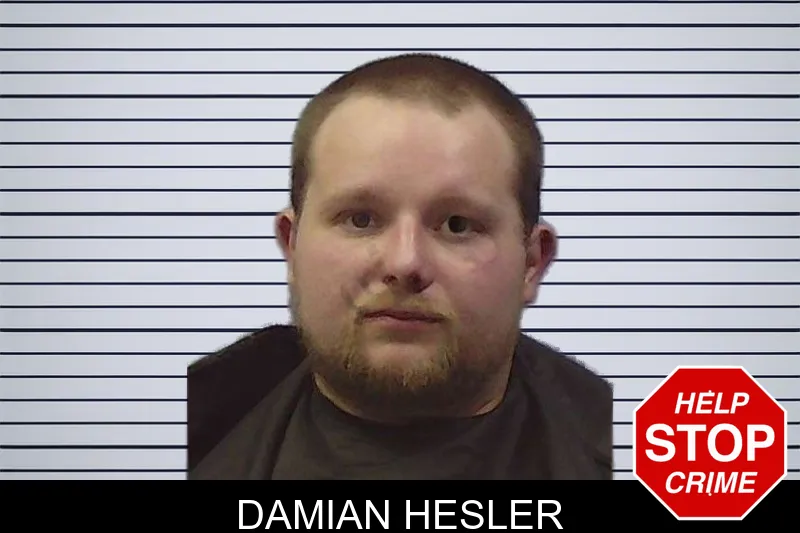 Damian Hesler mugshot