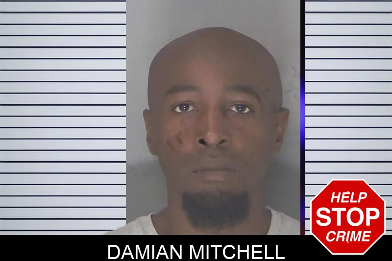 Damian Mitchell mugshot – Douglas County , Georgia Damian Mitchell mugshot