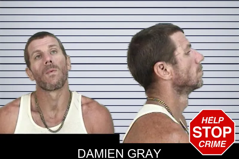 Damien Gray mugshot