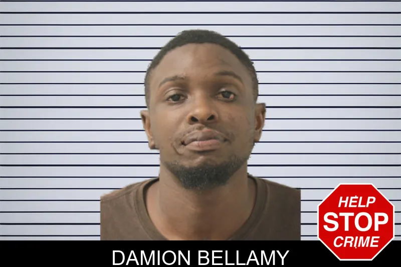 Damion Bellamy mugshot
