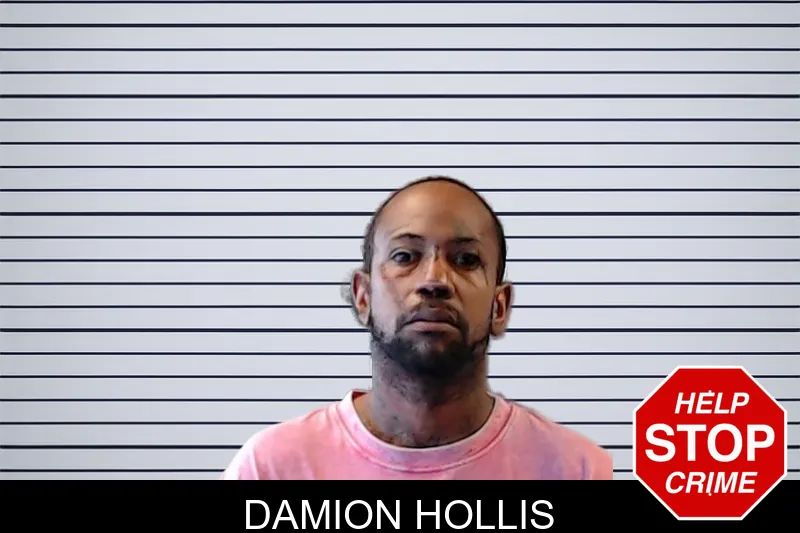 Damion Hollis mugshot