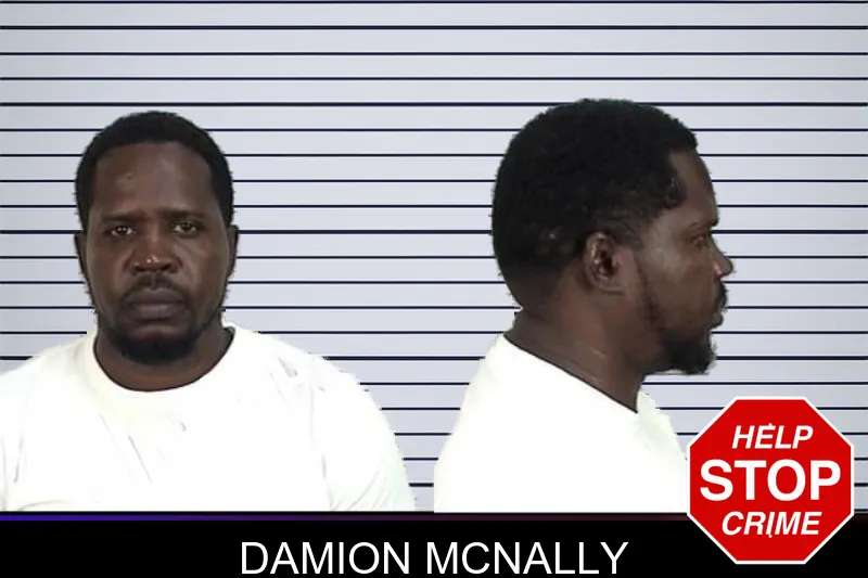 Damion McNally mugshot