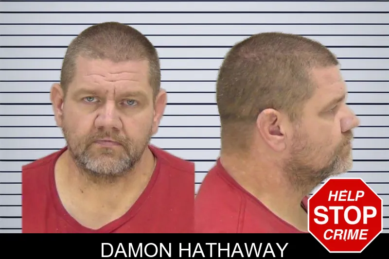 Damon Hathaway mugshot