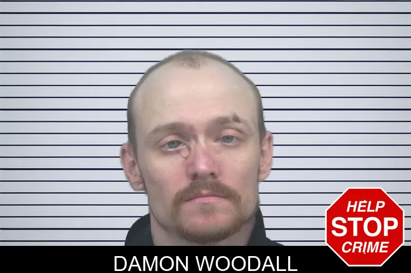 Damon Woodall mugshot – Gwinnett County , Georgia Damon Woodall mugshot