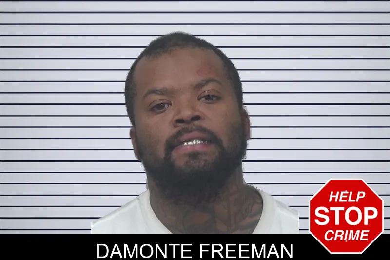 Damonte Freeman mugshot