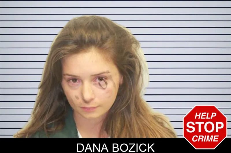 Dana Bozick mugshot – Chatham County , Georgia Dana Bozick mugshot