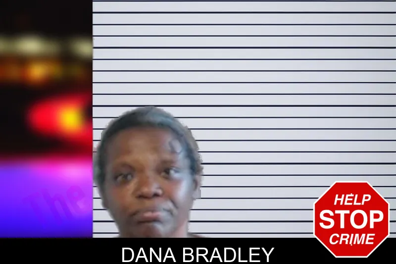 Dana Bradley mugshot – DeKalb County , Georgia Dana Bradley mugshot