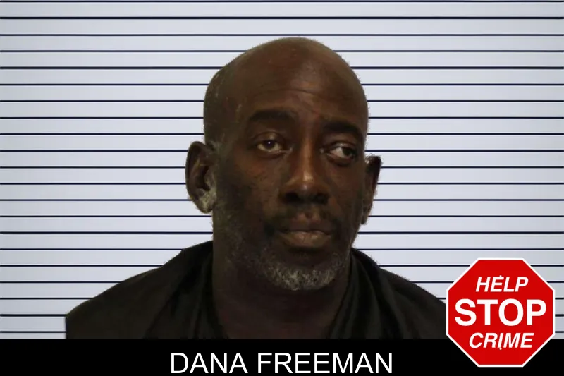 Dana Freeman mugshot