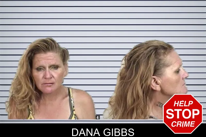 Dana Gibbs mugshot – Camden County , Georgia Dana Gibbs mugshot
