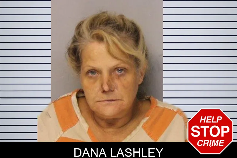 Dana Lashley mugshot – Hall County , Georgia Dana Lashley mugshot