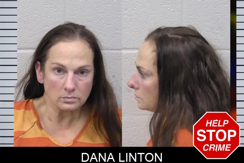Dana Linton mugshot – Paulding County , Georgia Dana Linton mugshot