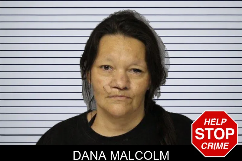Dana Malcolm mugshot – Hall County , Georgia Dana Malcolm mugshot