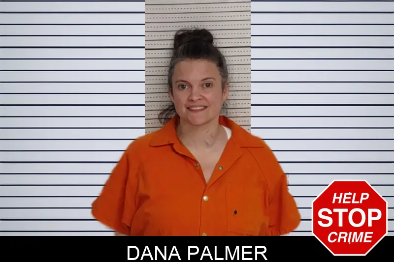 Dana Palmer mugshot – Rockdale County , Georgia Dana Palmer mugshot