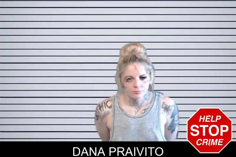 Dana Praivito mugshot