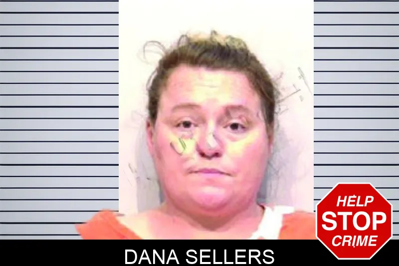 Dana Sellers mugshot