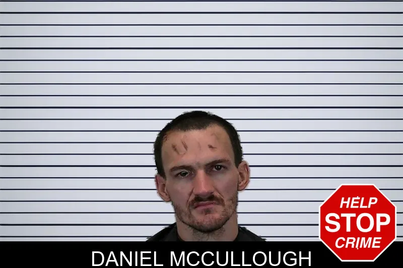 Daniel McCullough mugshot