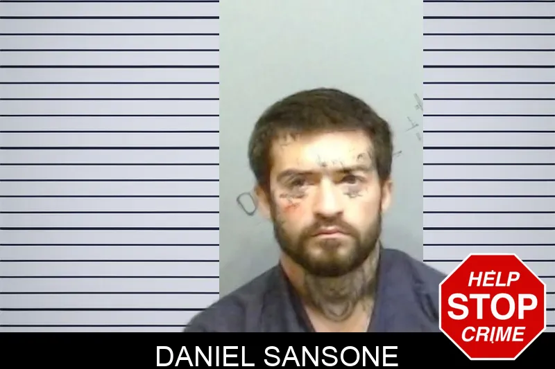 Daniel Sansone mugshot – Fulton County , Georgia Daniel Sansone mugshot
