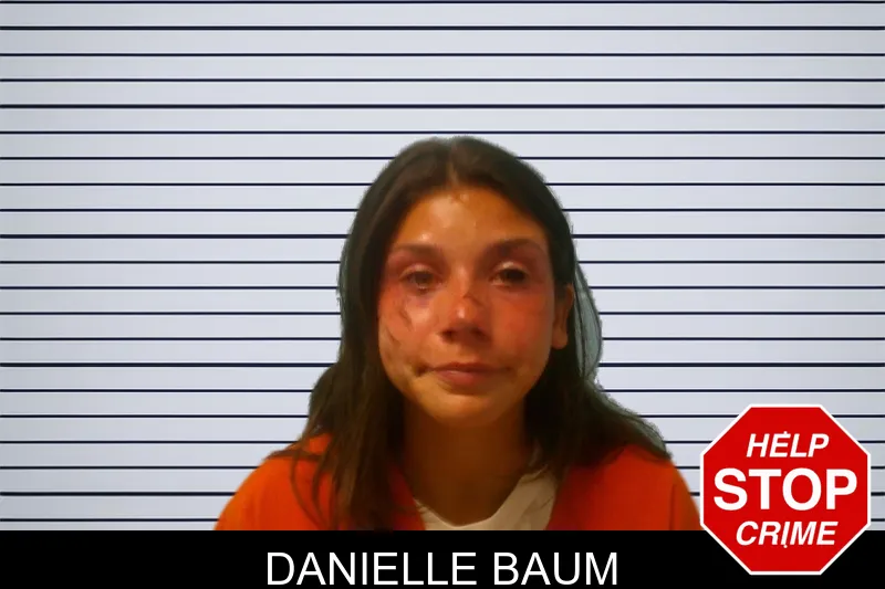 Danielle Baum mugshot – Franklin County , Georgia Danielle Baum mugshot