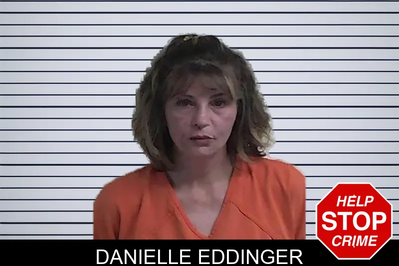 Danielle Eddinger mugshot – Fannin County , Georgia Danielle Eddinger mugshot