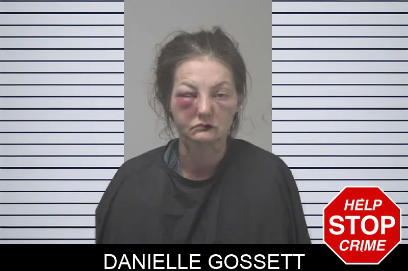 Danielle Gossett mugshot – Coweta County , Georgia Danielle Gossett mugshot
