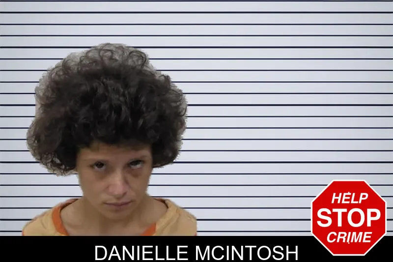 Danielle McIntosh mugshot