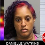 Danielle Watkins mugshot – Cobb County , Georgia Danielle Watkins mugshot