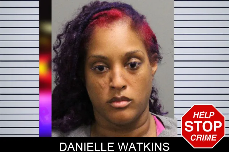 Danielle Watkins mugshot – Cobb County , Georgia Danielle Watkins mugshot