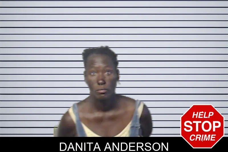 Danita Anderson mugshot – DeKalb County , Georgia Danita Anderson mugshot